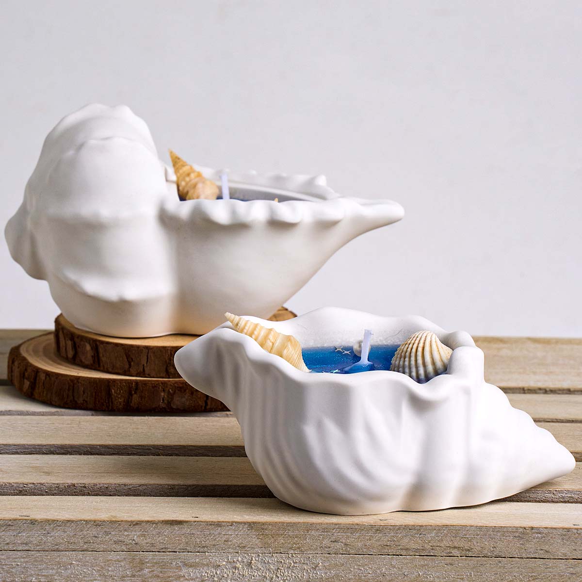 Conch Flowerpot Silicone Mold  - Idli Steamer Mold review and price