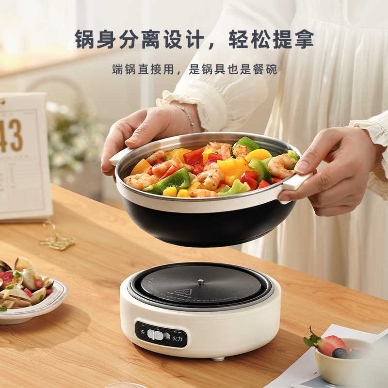 Portable Split Electric Cookin - Home Cooking Business review and price